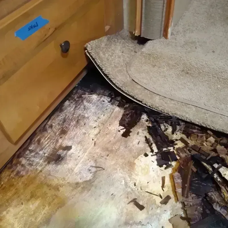 Wood Floor Water Damage in Zellwood, FL